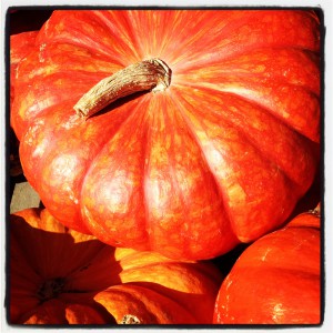 Photo/Image Source: "Cinderella Pumpkin." by,Lisa Brettschneider (https://creativecommons.org/licenses/by-nc/2.0/)