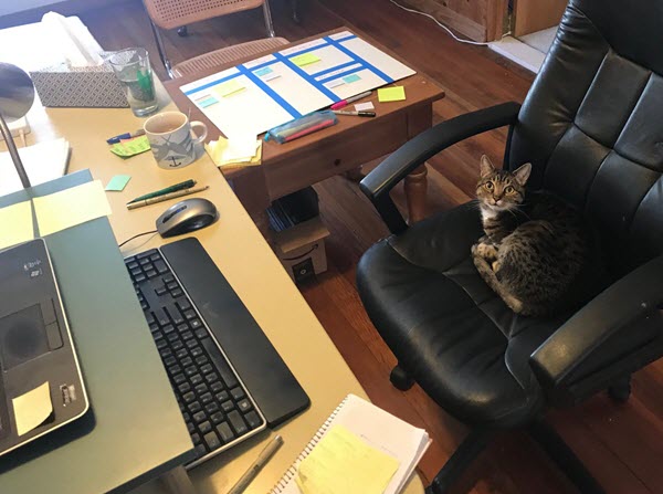 A tabby cat curled up in an office chair is surrounded by a desk surfaces with a keyboard, mouse, coffee, water, and a whiteboard with sticky notes.