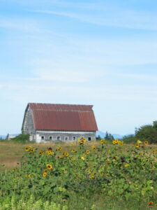 Tillie's Acres Farm Stand