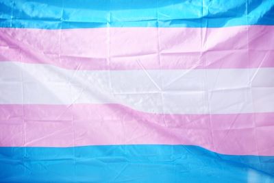 the transgender pride flag