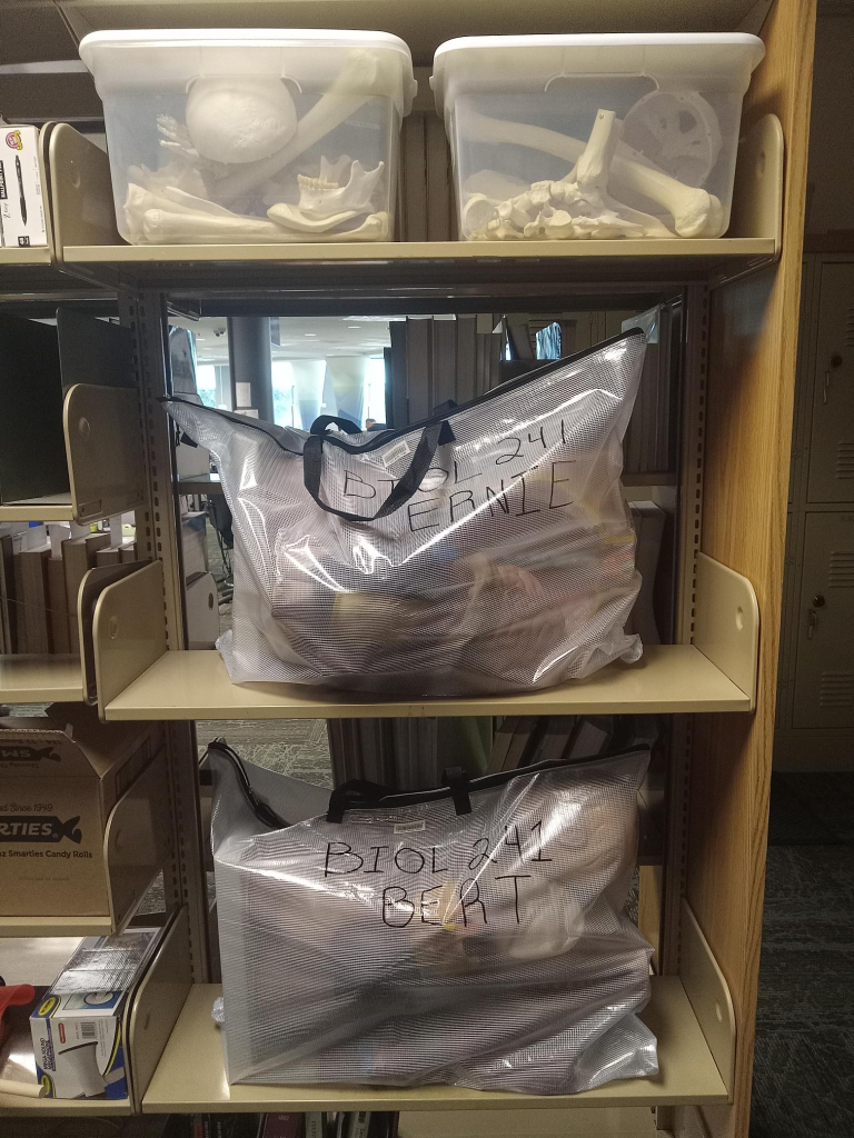 Two bags and two tubs of model body parts