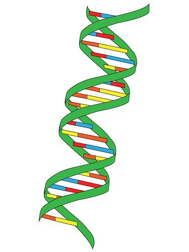 Illustration of a DNA double helix molecule