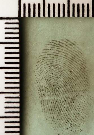 Fingerprint flanked by rulers
